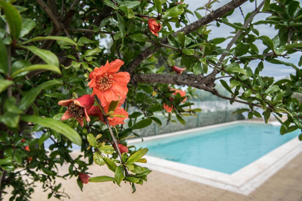 Villa Lara Polignano a Mare Ngoại thất bức ảnh